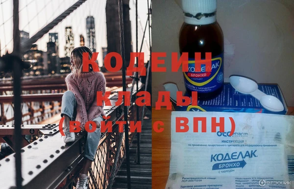 шишки Богородицк